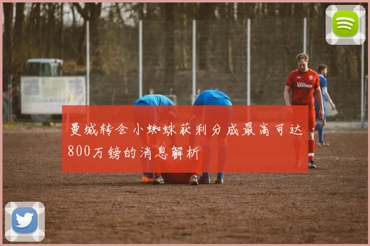 曼城转会小蜘蛛获利分成最高可达800万镑的消息解析